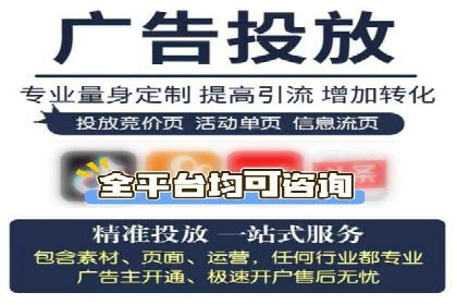 成功SEM服务案例分析报告